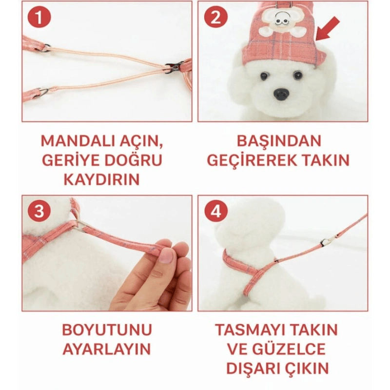Evcil Hayvan Göğüs Gezdirme Tasması - Set Tasma - Karışık Renk