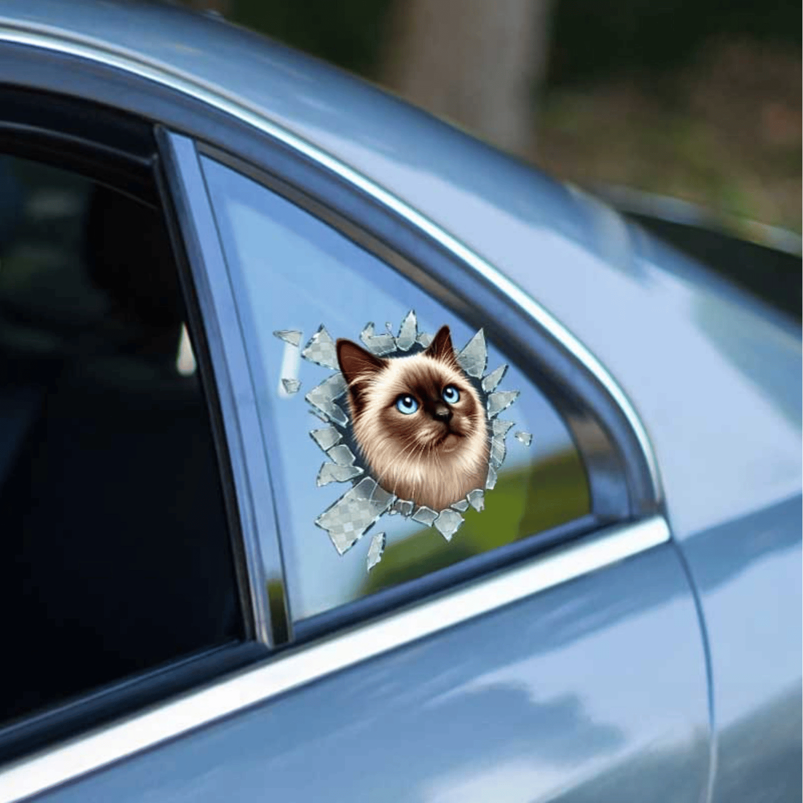 Fulcar Siamesse Araç Stickerı