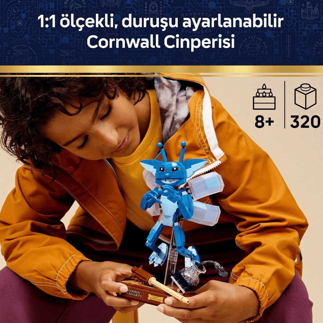 Harry Potter Cornwall Cinperisi 76461