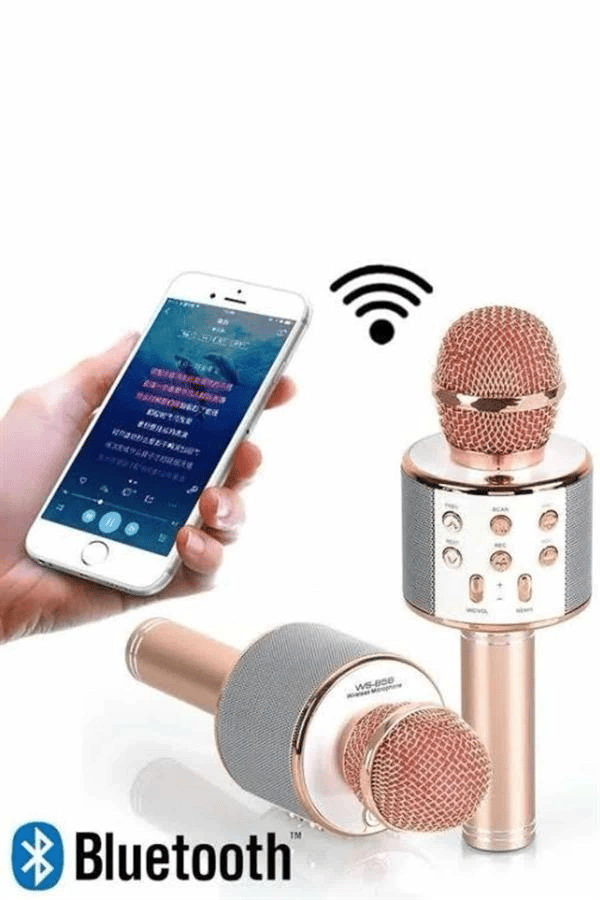 Karaoke Mikrofon Dahili Hoparlörlü Sd-usb-aux Girişli Bluetooth Hoparlör