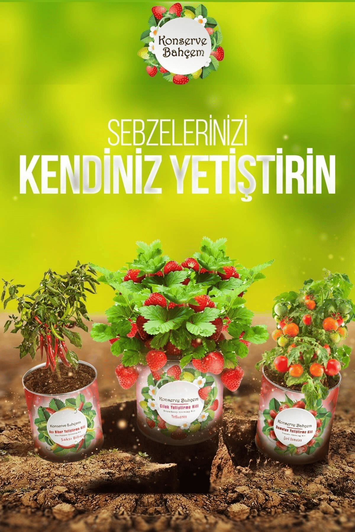 Konserve Bahçem Evde Konservede Kolay Ispanak Yetiştirme Kiti