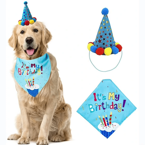 Köpekler İçin Doğum Günü Partisi Seti