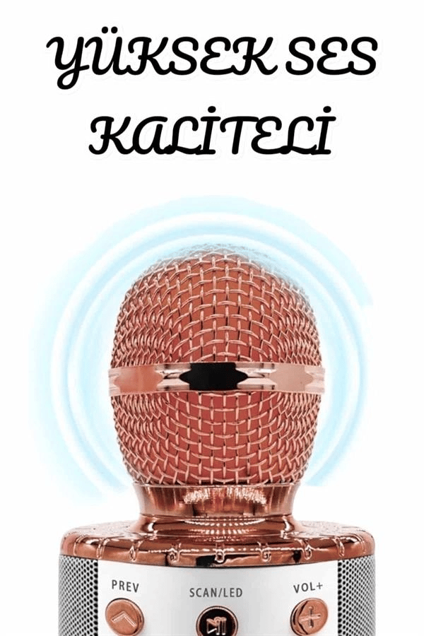 Şarjlı ve Uzun Pil Ömürlü Karaoke Mikrofon USB Bellek Destekli, Profesyonel Ses