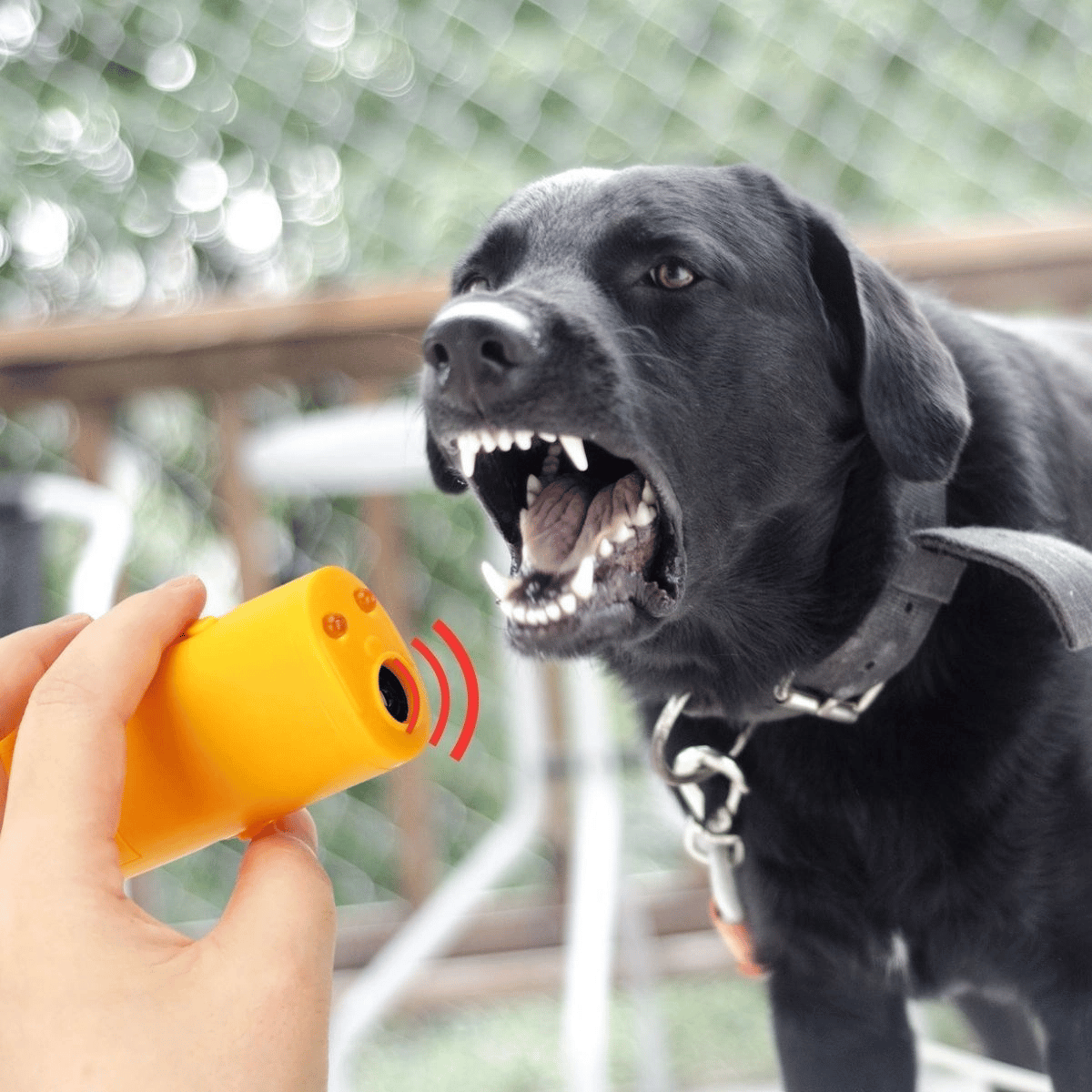 Ultrasonik Köpeksavar Köpek Kovucu Köpek Kornası Eğitim Cihazı Bx40