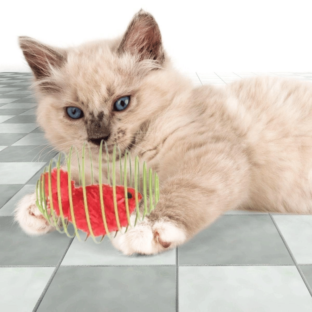 Yaylı Metal Fareli Kafes Kedi Oyun Topu Sıçrayan Spiral Kedi Topu Bx40