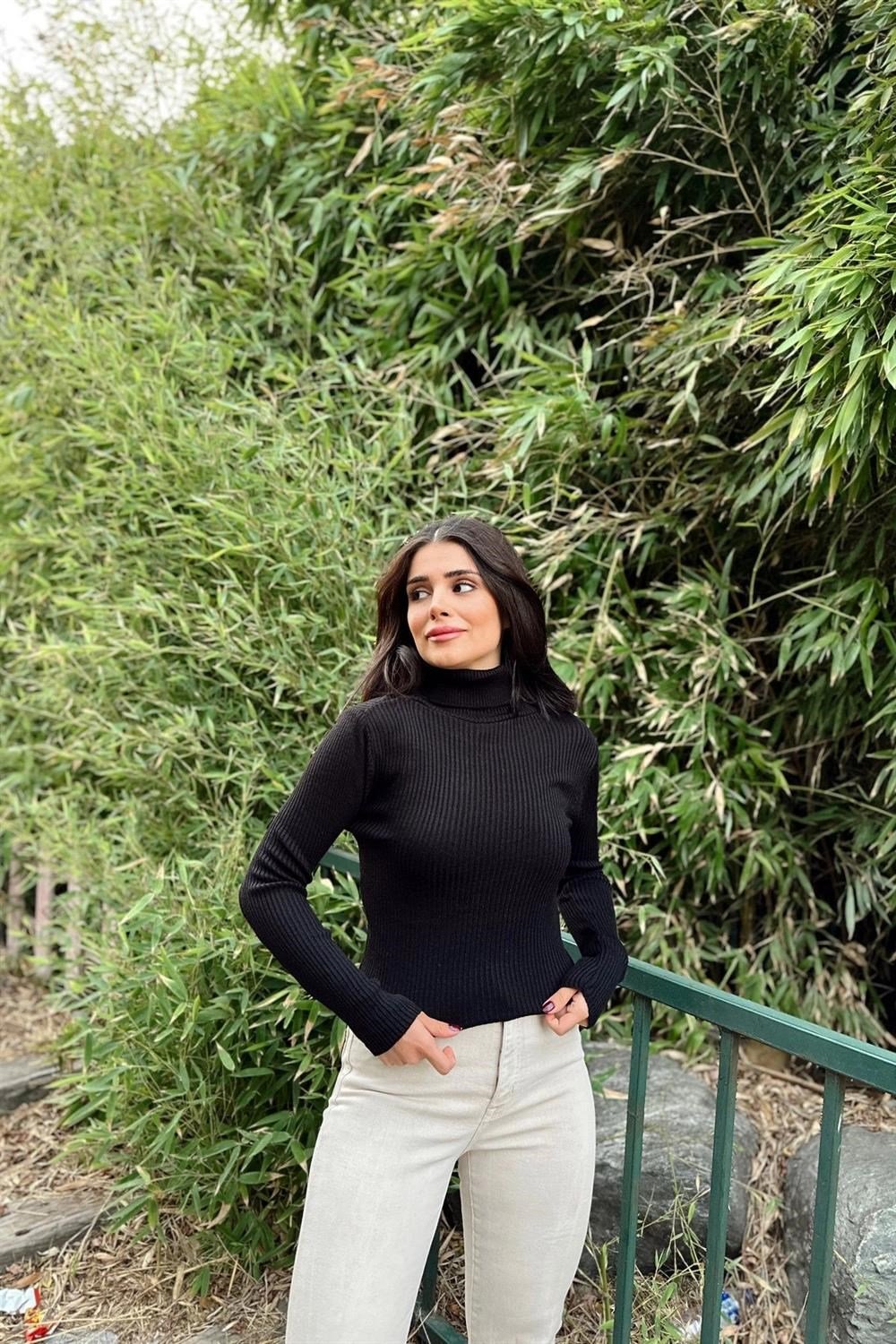 Kadın Siyah Boğazlı Yaka, Uzun Kol, Vucüda Oturan Kalıp, Esnek Kumaş, Düz Desen, Triko Bluz