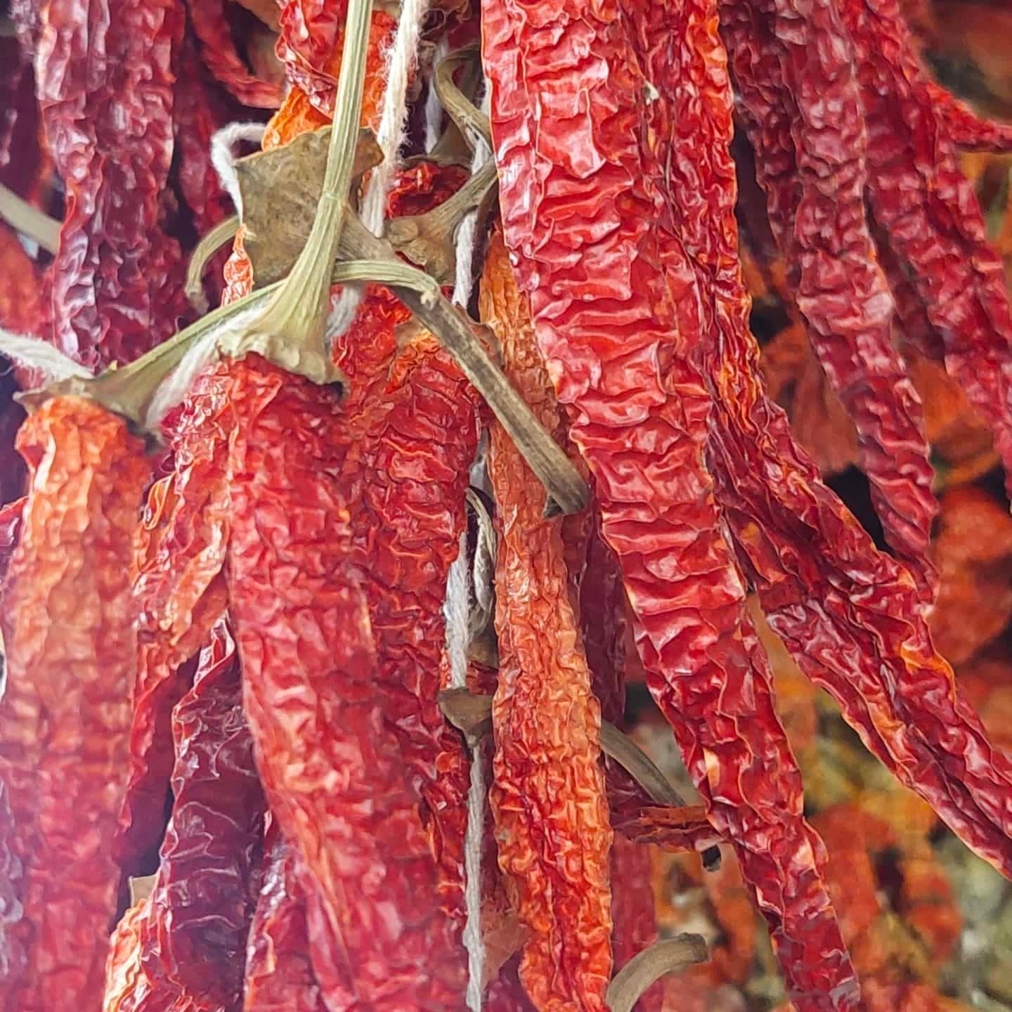 Tatlı Sivri Biber Kurusu 100 g
