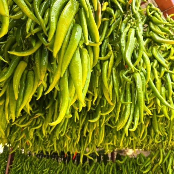 Tatlı Sivri Biber Kurusu 100 g