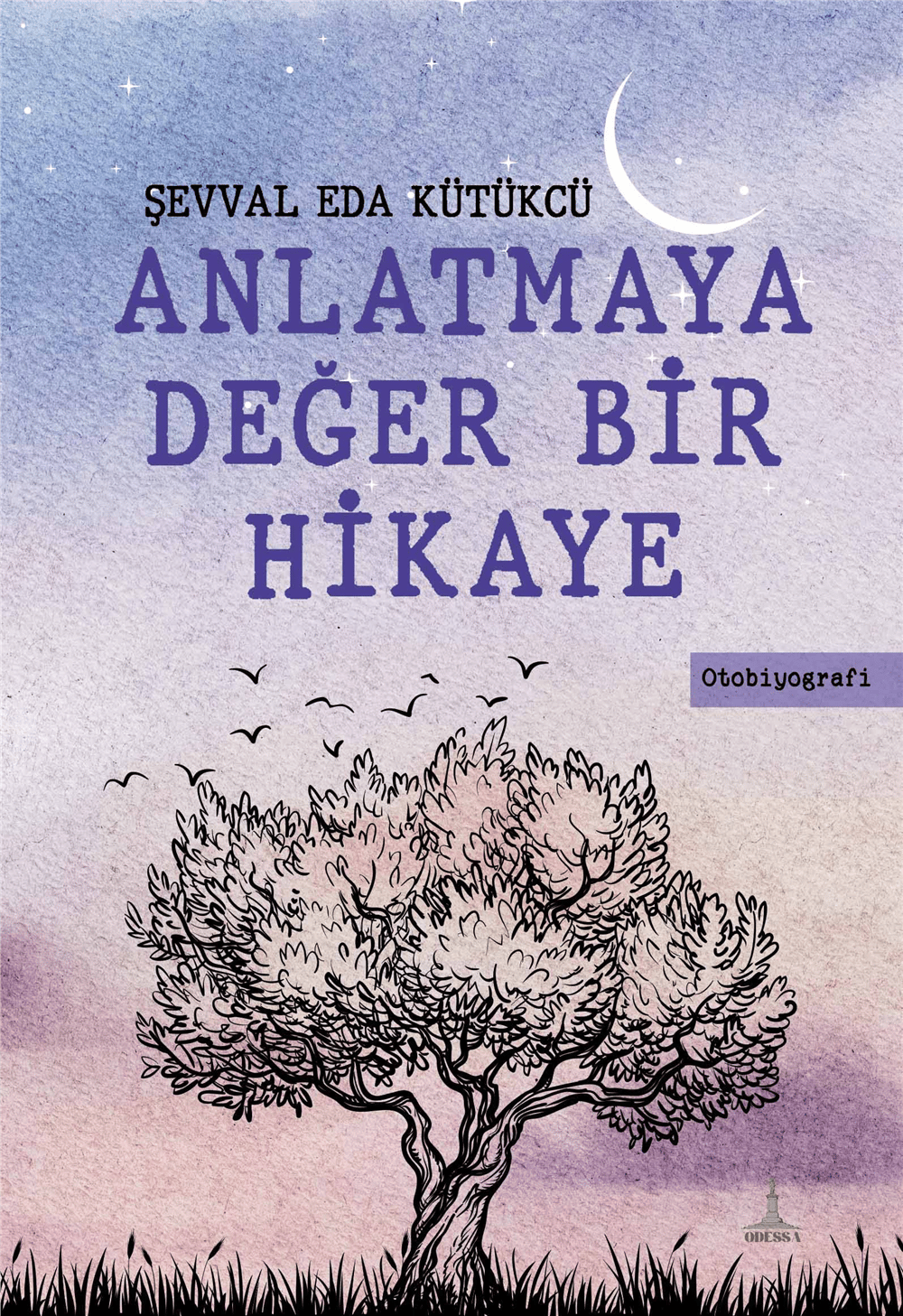 Anlatmaya Değer Bir Hikaye