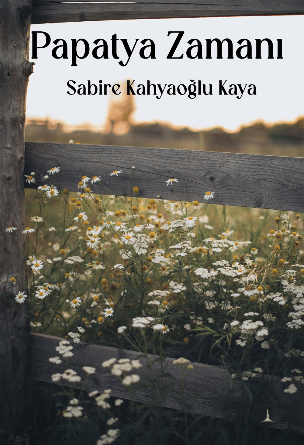Papatya Zamanı