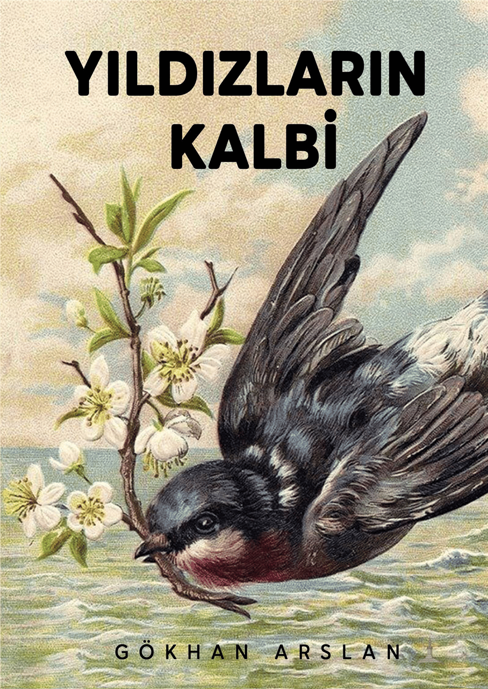 Yıldızların Kalbi