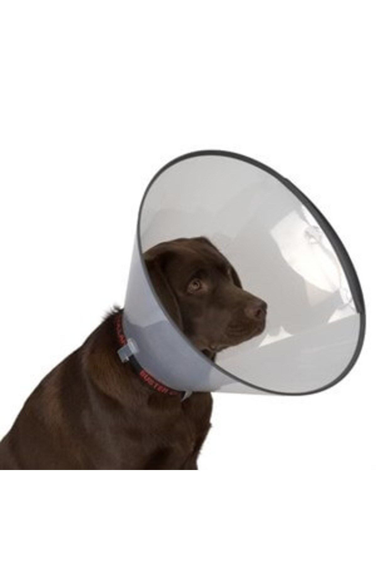 Kedi Köpek Yakalığı 15 Cm