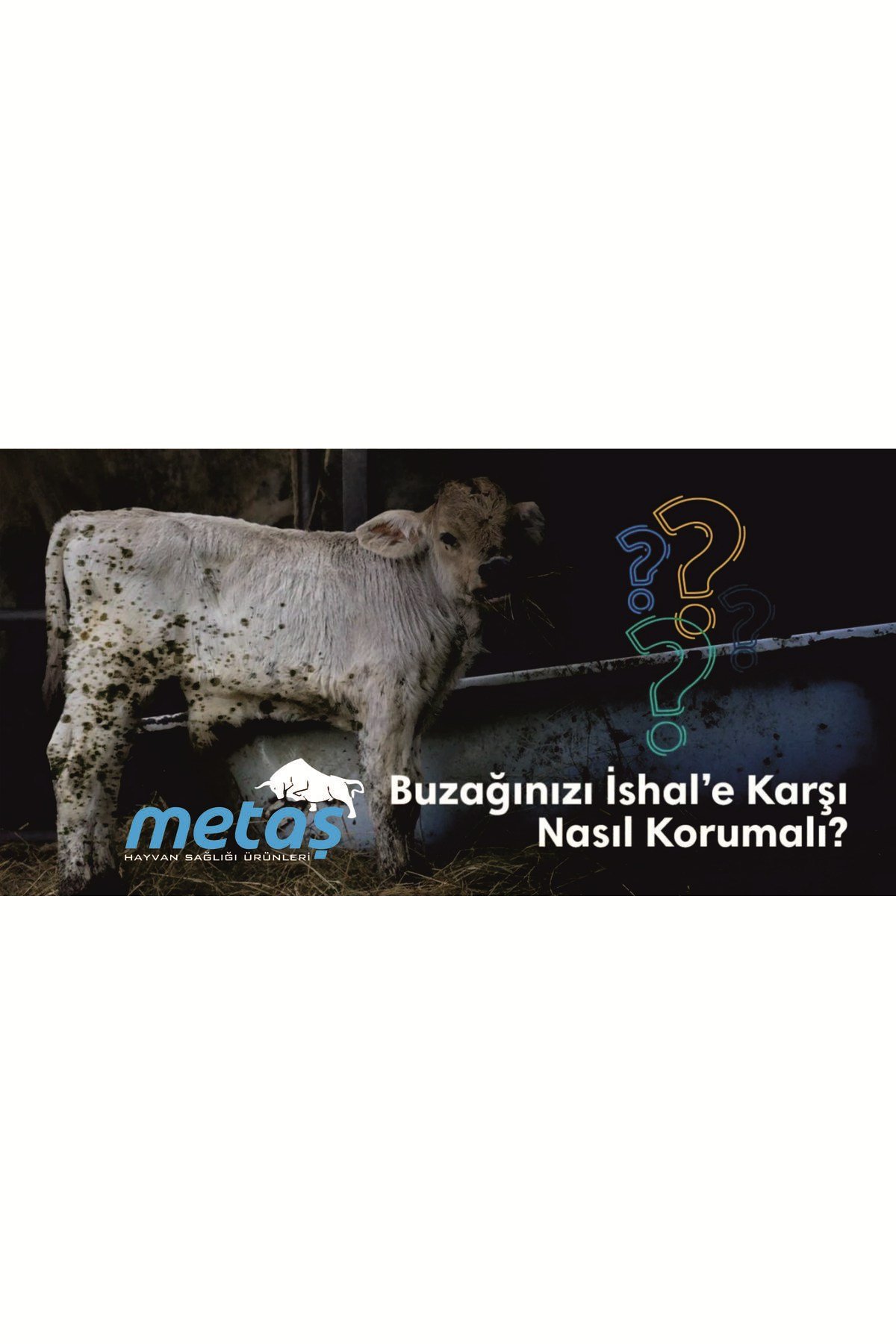 kriponin buzağı ishallerine son