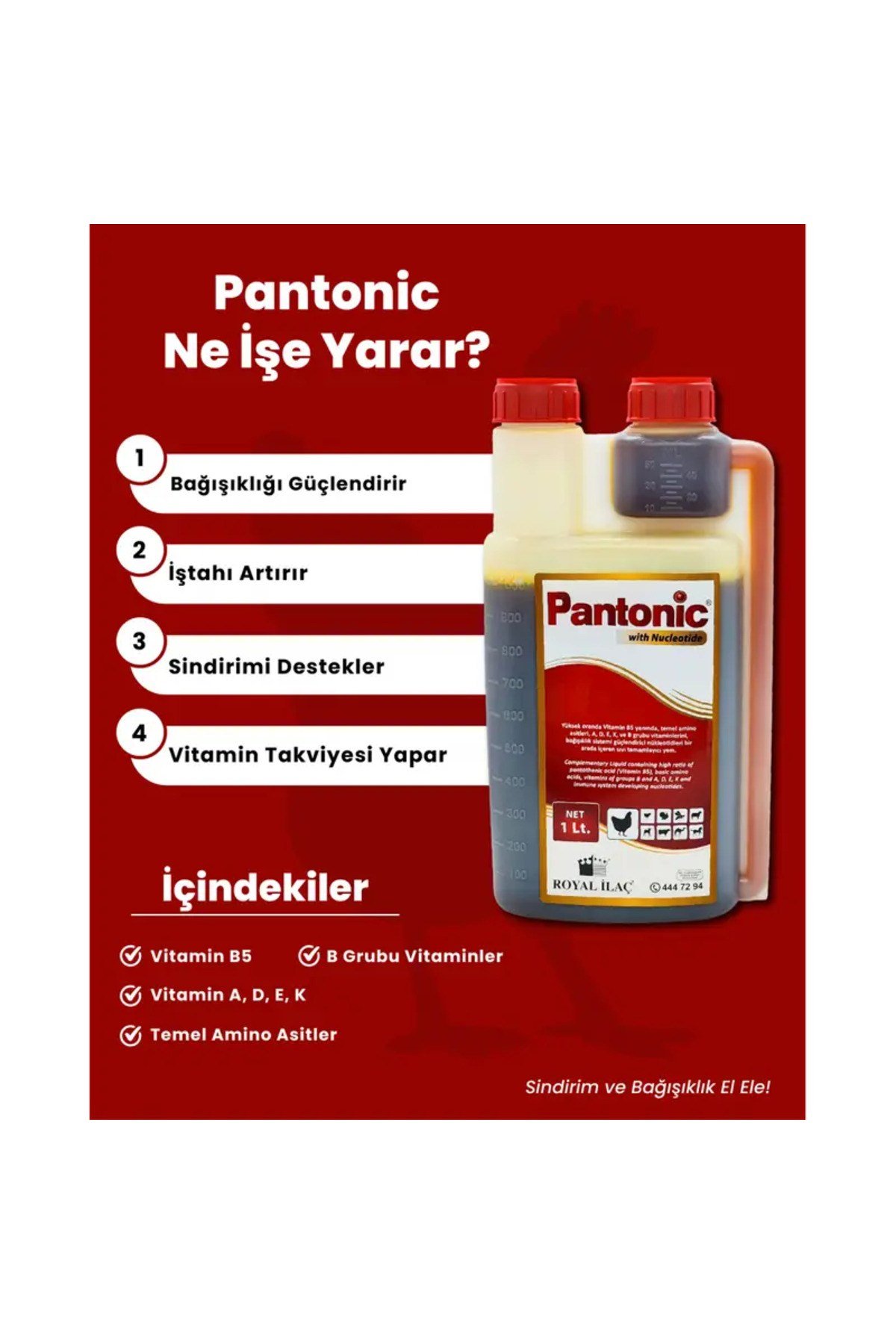 Pantonic 1litre Kanatlılar Için Multivitamin
