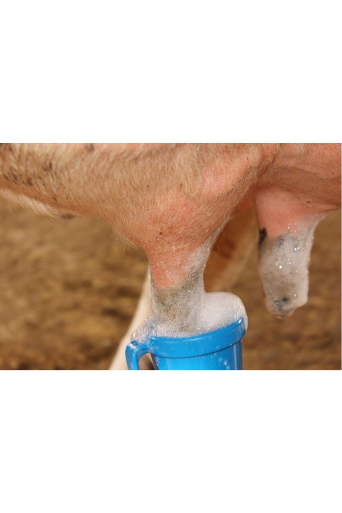 Sağım Öncesi Köpüklü - Masdisin Teat Foam 1 L