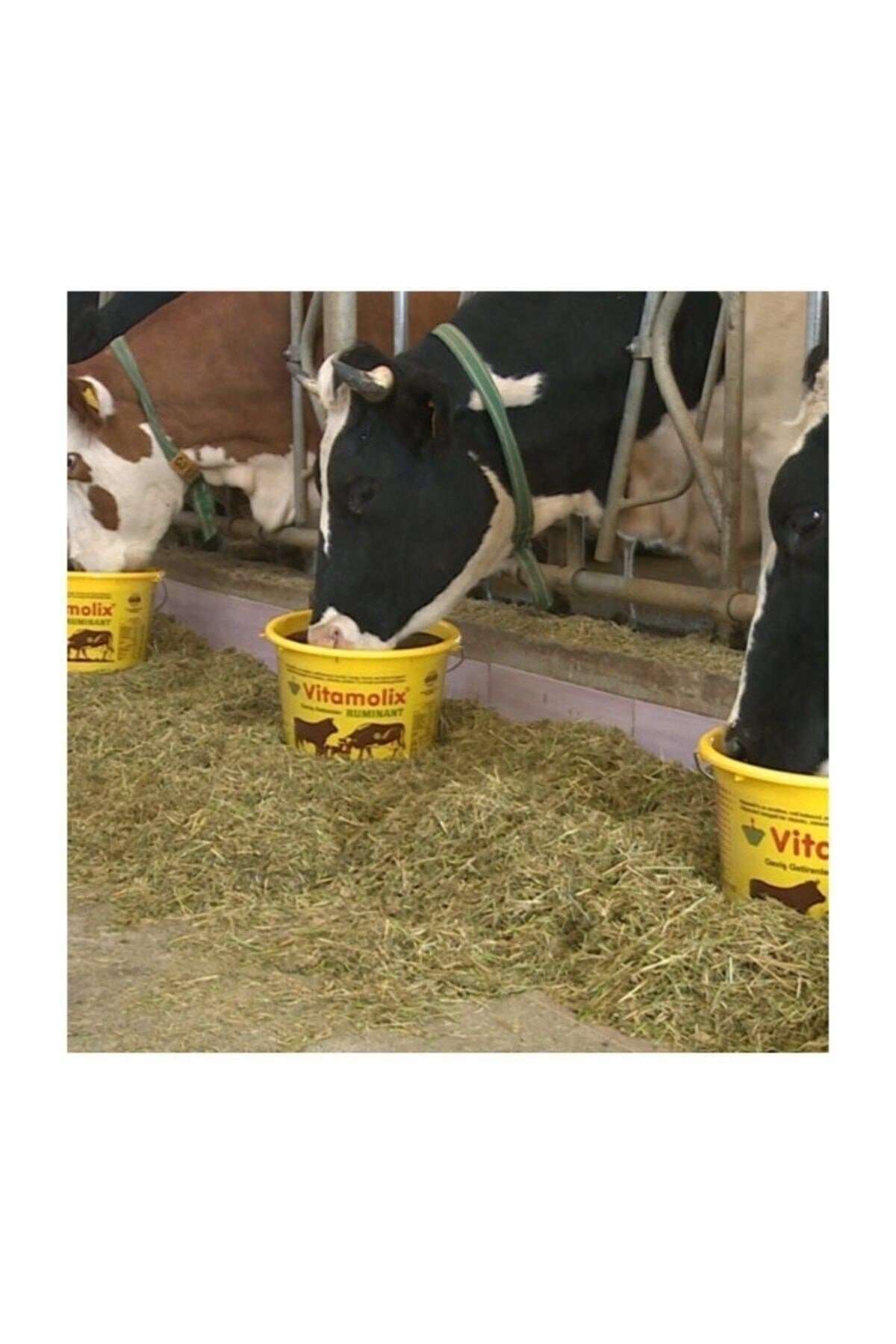 Vitamolix Ruminant 25 Kg