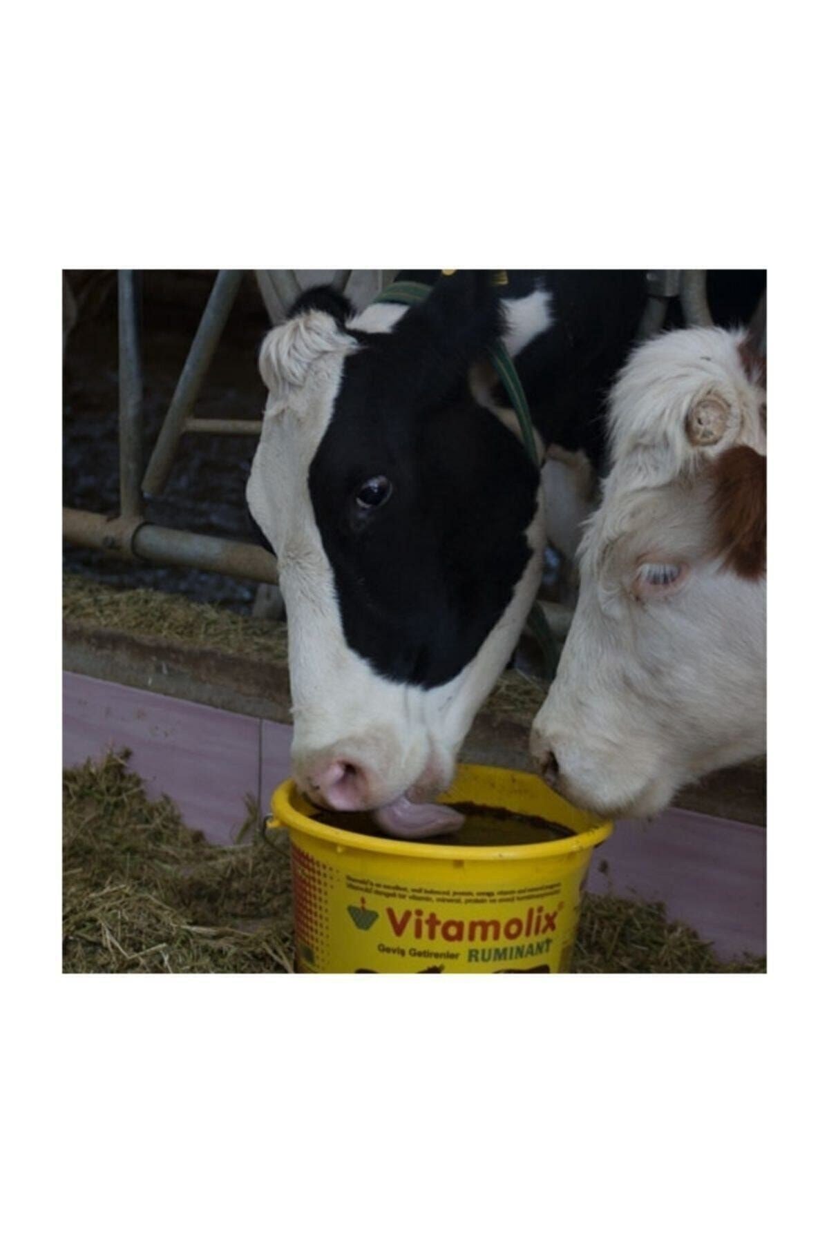 Vitamolix Ruminant 25 Kg