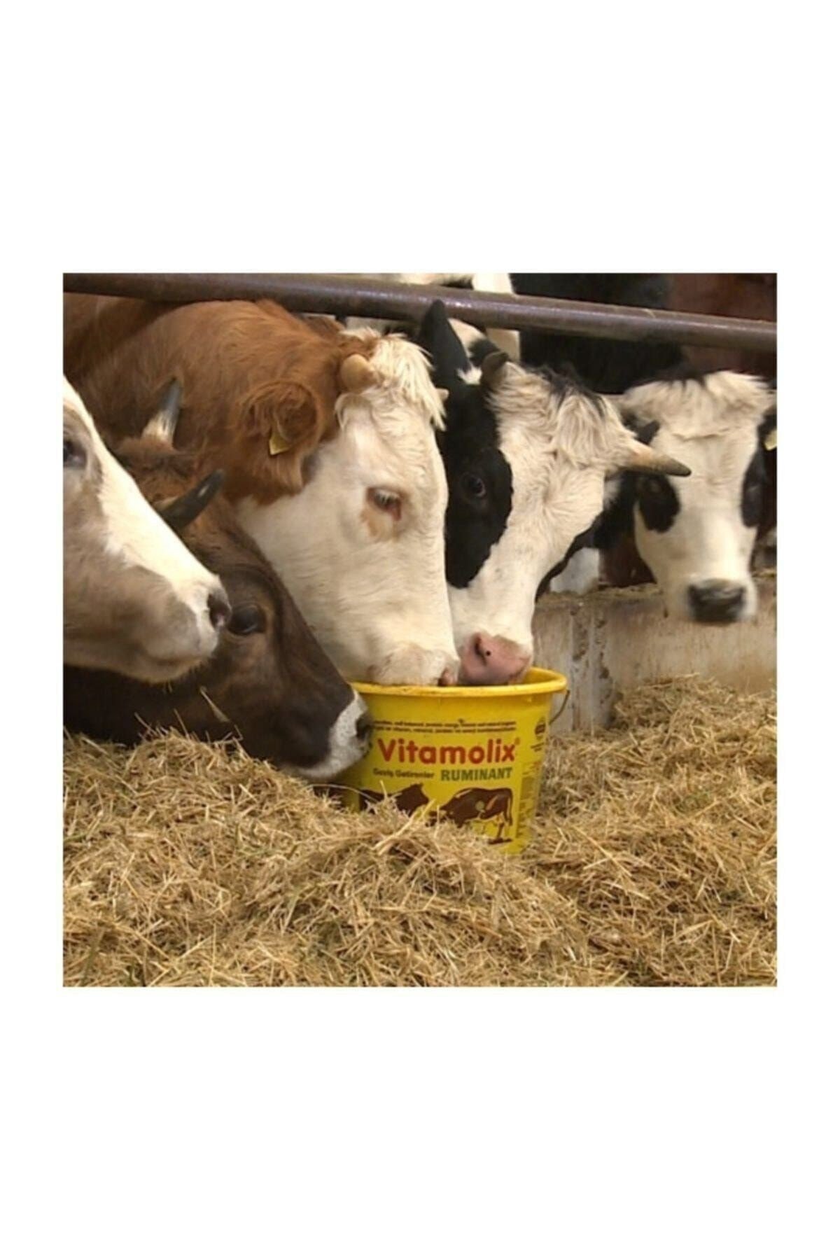 Vitamolix Ruminant 25 Kg