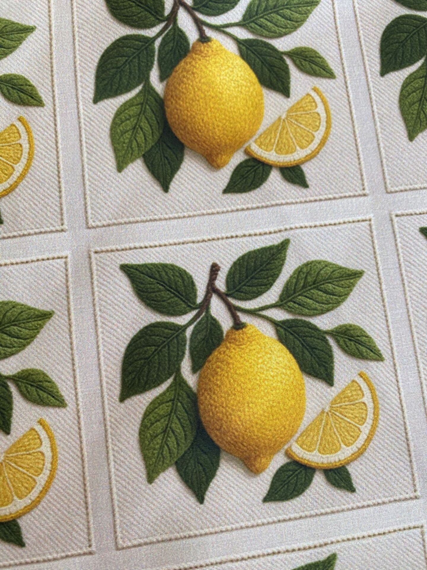 3D Çerçeveli Nakış Limon Desenli Kumaş