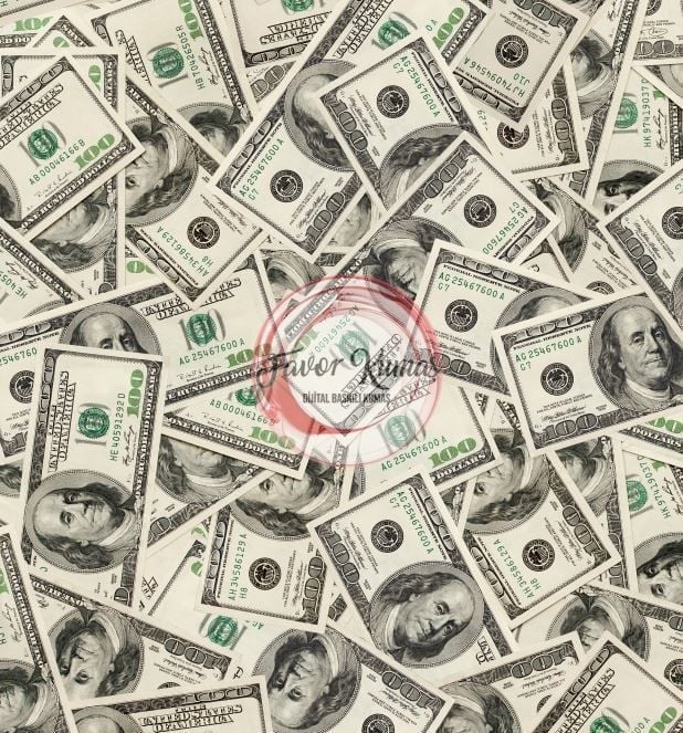 Dolar Desenli Kumaş