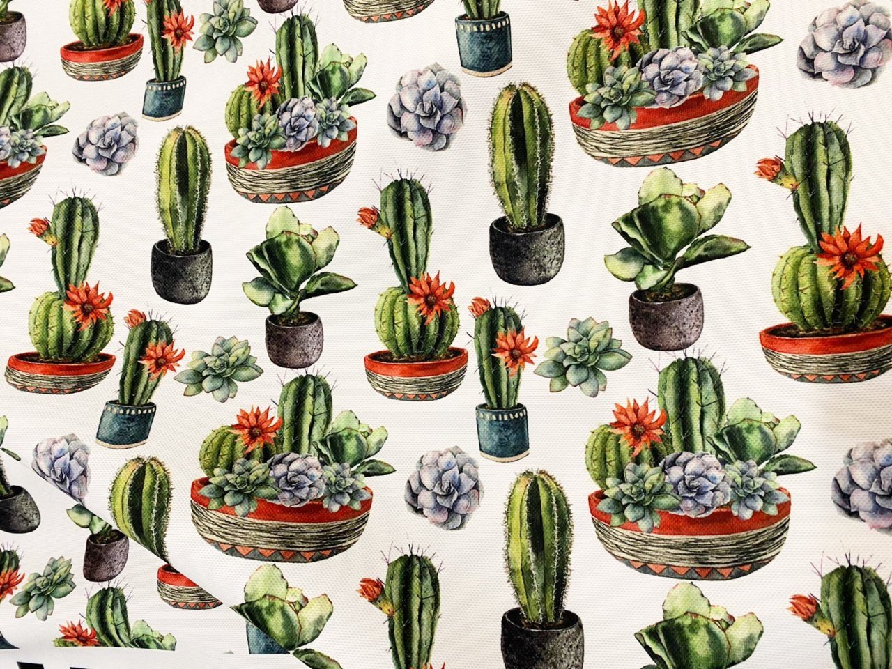 Saksı Kaktüs Desenli Kumaş 5