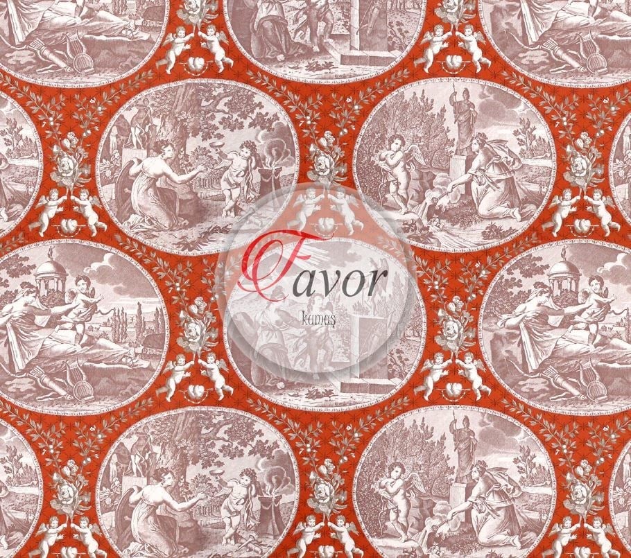 Toile De jouy Desenli Kumaş 3