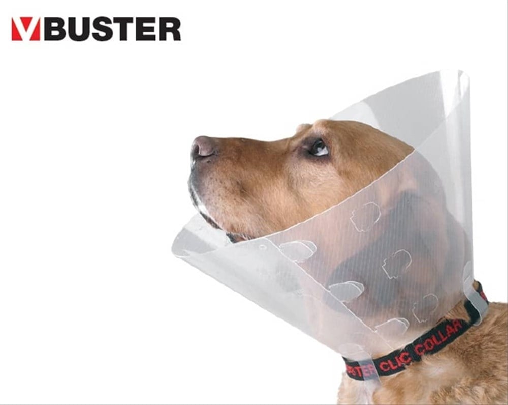 Buster Elizabeth Yakalık Şeffaf 