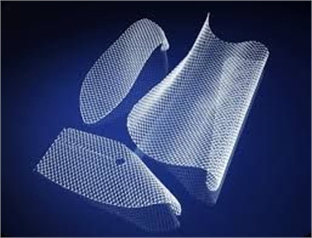 Mesh (Fıtık Yaması)