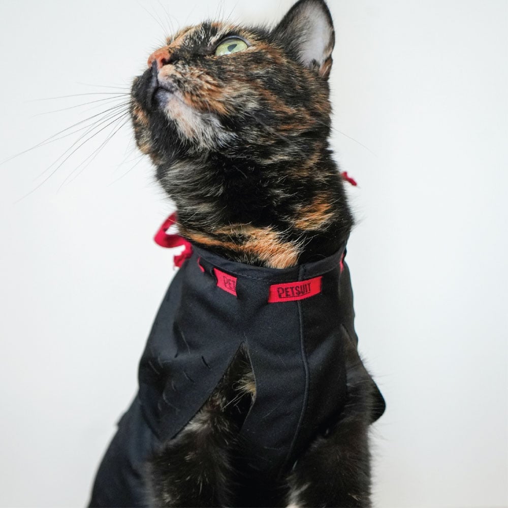 Petsuit Yara Koruyucu Korse XLarge