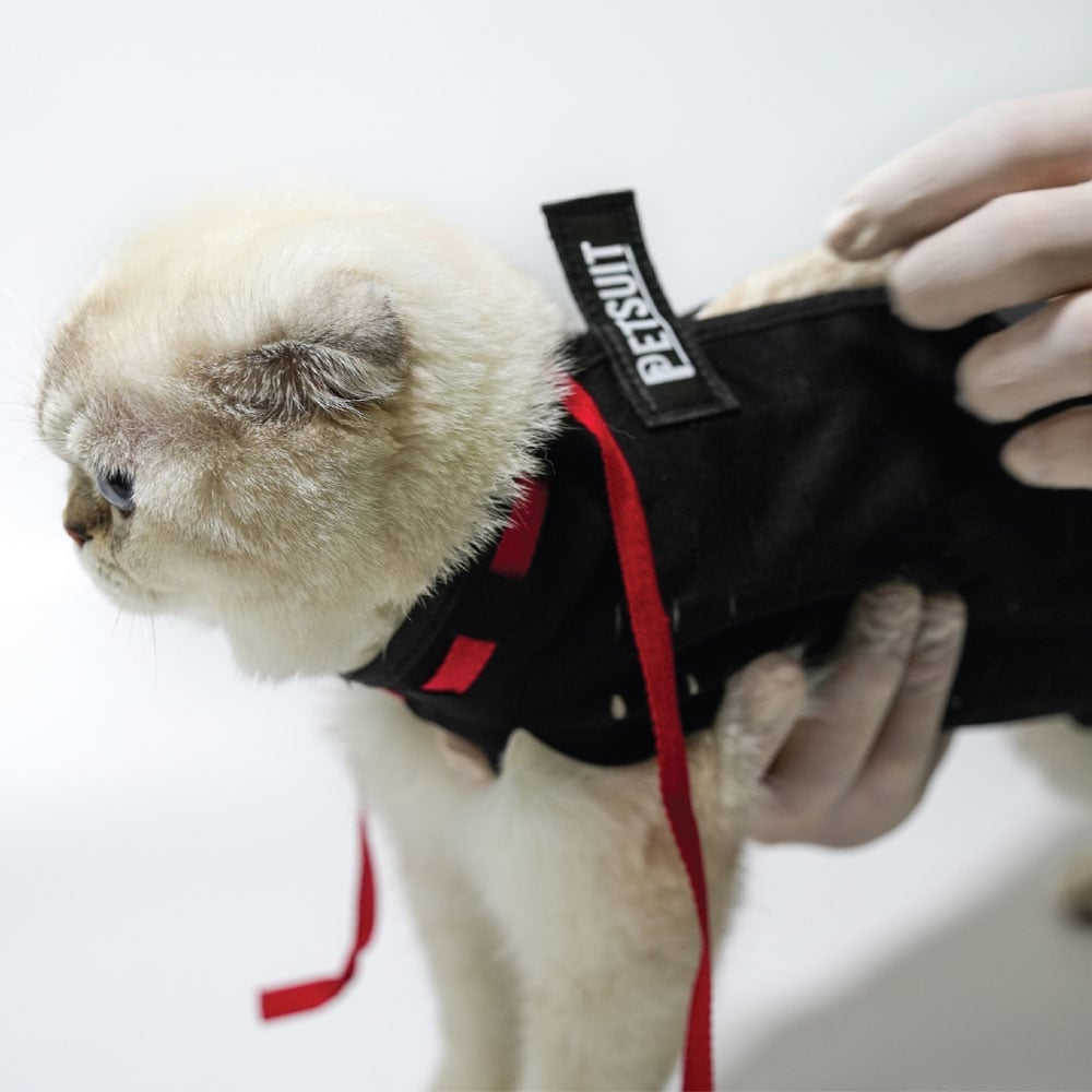 Petsuit Yara Koruyucu Korse XSmall