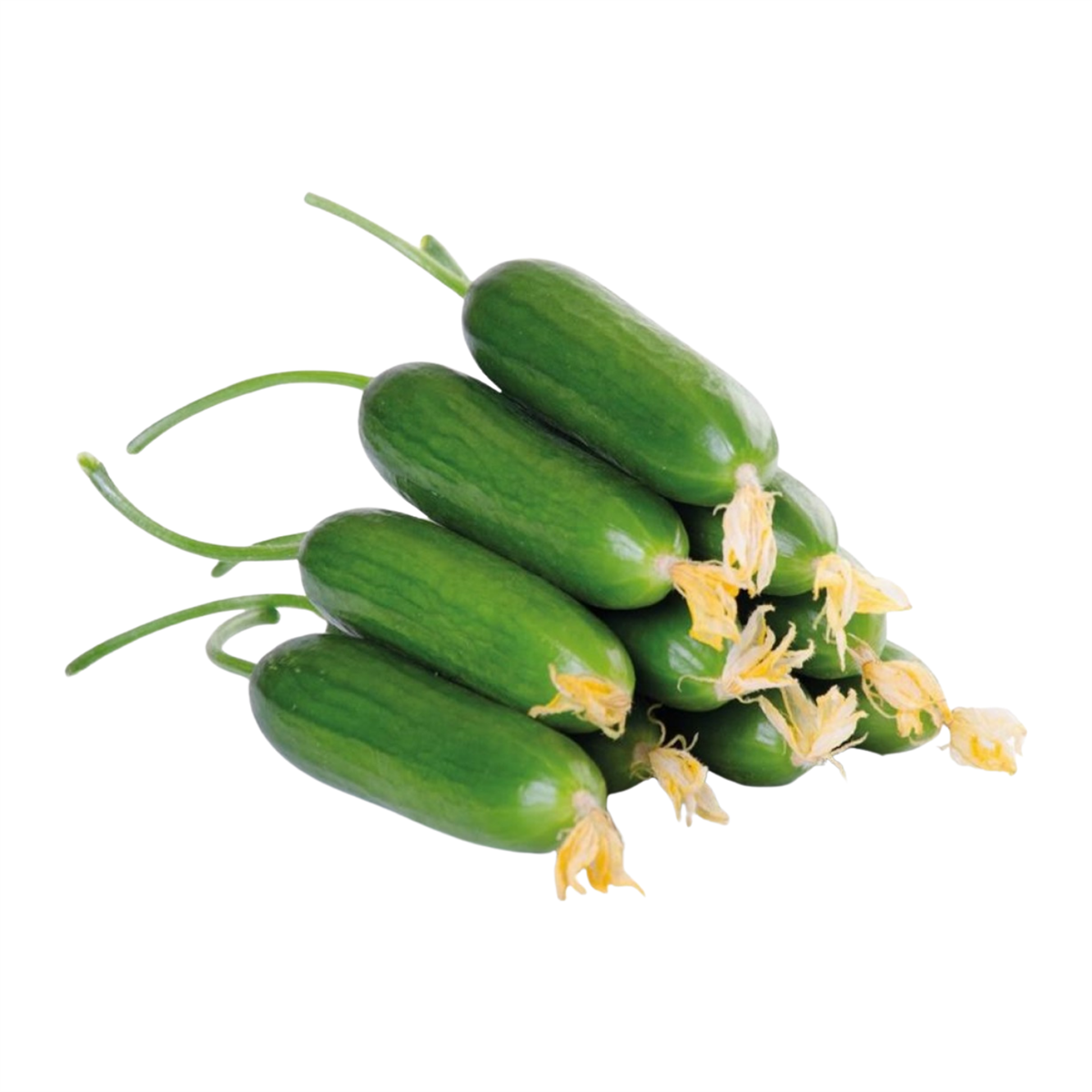 Badem Salata