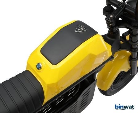 APE RYDER GİBBON ULTRA PRO 48V 1000 WATT ELEKTRİKLİ BİSİKLET