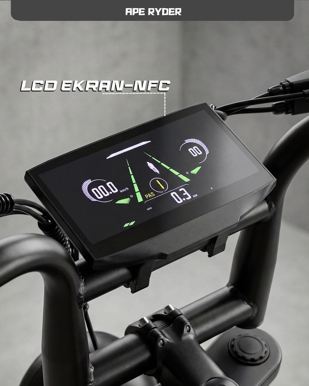 APE RYDER MANDRILL SİYAH 48V 1000 WATT ELEKTRİKLİ BİSİKLET