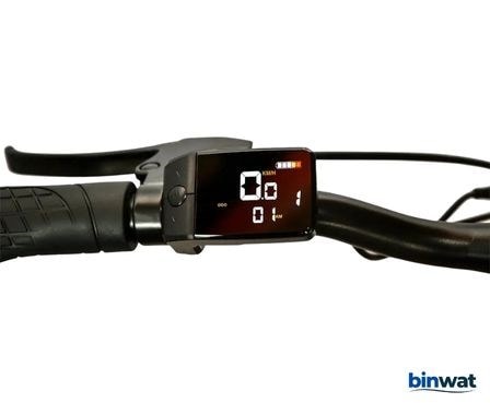 ROXFORM R100 36V 250 WATT ELEKTRİKLİ BİSİKLET