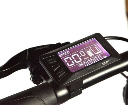 ROXFORM URAL LACİVERT 36V 250 WATT ELEKTRİKLİ BİSİKLET  ROXFORM URAL 36V 250 WATT ELEKTRİKLİ BİSİKLET - ROXFORM E-BİKERoxform