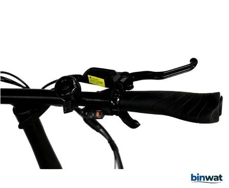 ROXFORM URAL LX KREM 36V 250 WATT ELEKTRİKLİ BİSİKLET  ROXFORM URAL LX 36V 250 WATT ELEKTRİKLİ BİSİKLET - ROXFORM E-BİKERoxform