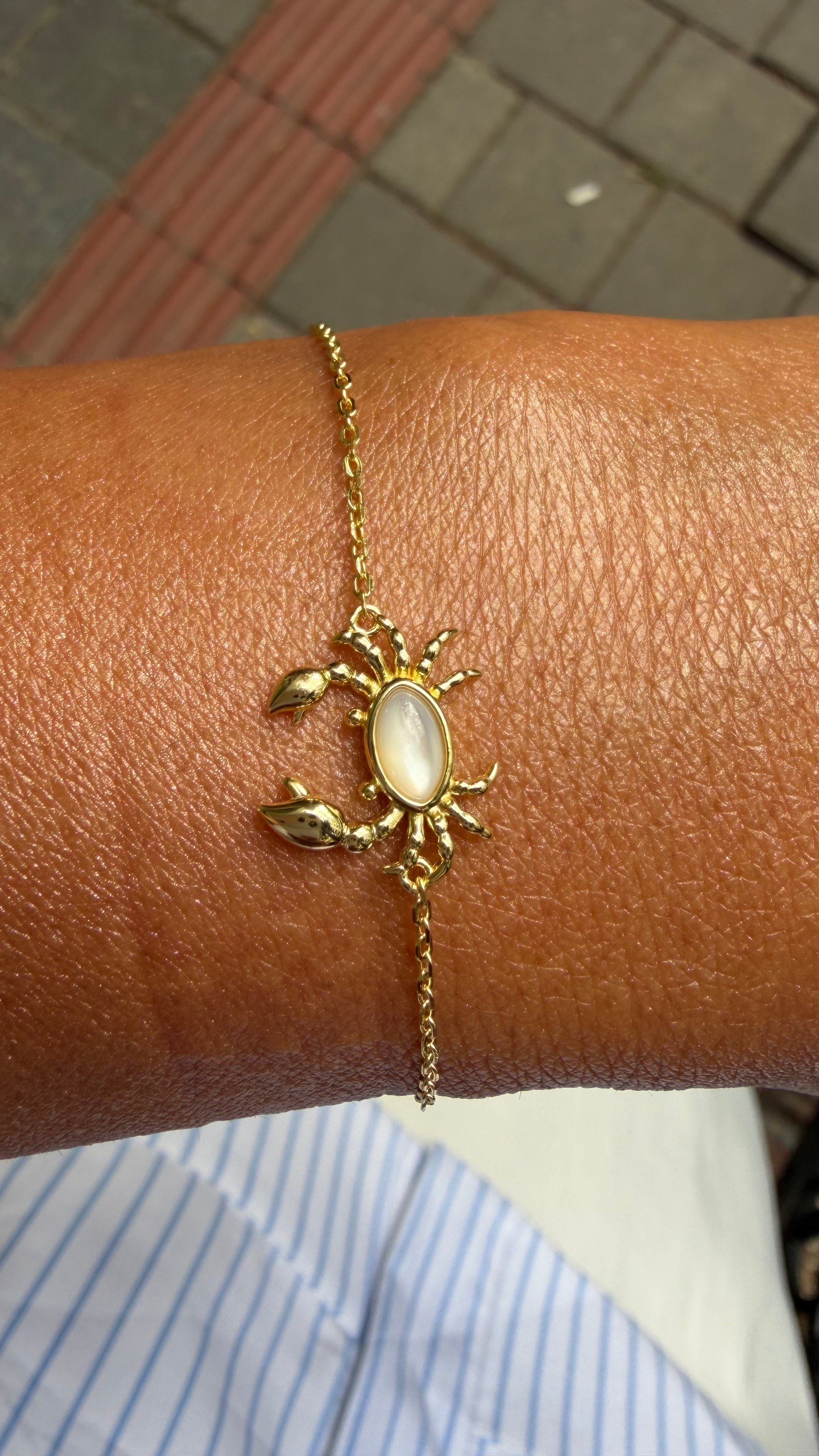 Mr. Crab