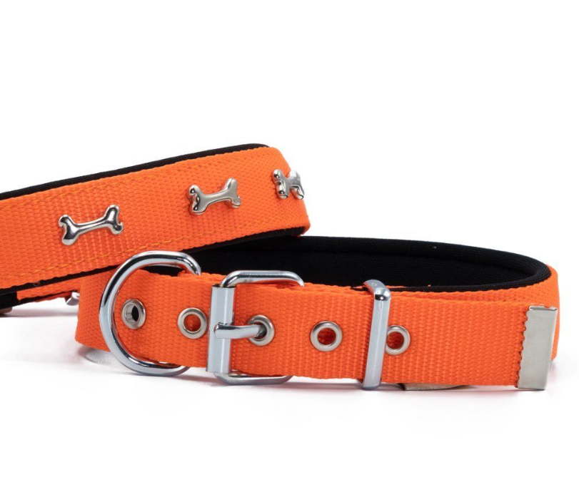 Doggie Comfort Metal İşlemeli Köpek Tasması M 2,5x37-45cm Turuncu, Köpek Boyun Tasması, Doggie