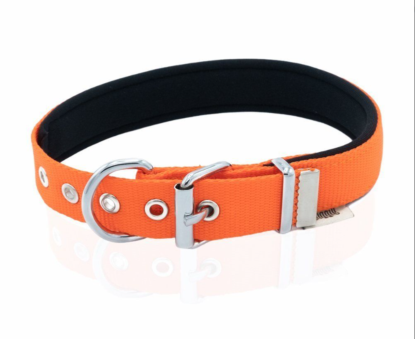 Doggie Comfort Metal İşlemeli Köpek Tasması M 2,5x37-45cm Turuncu, Köpek Boyun Tasması, Doggie