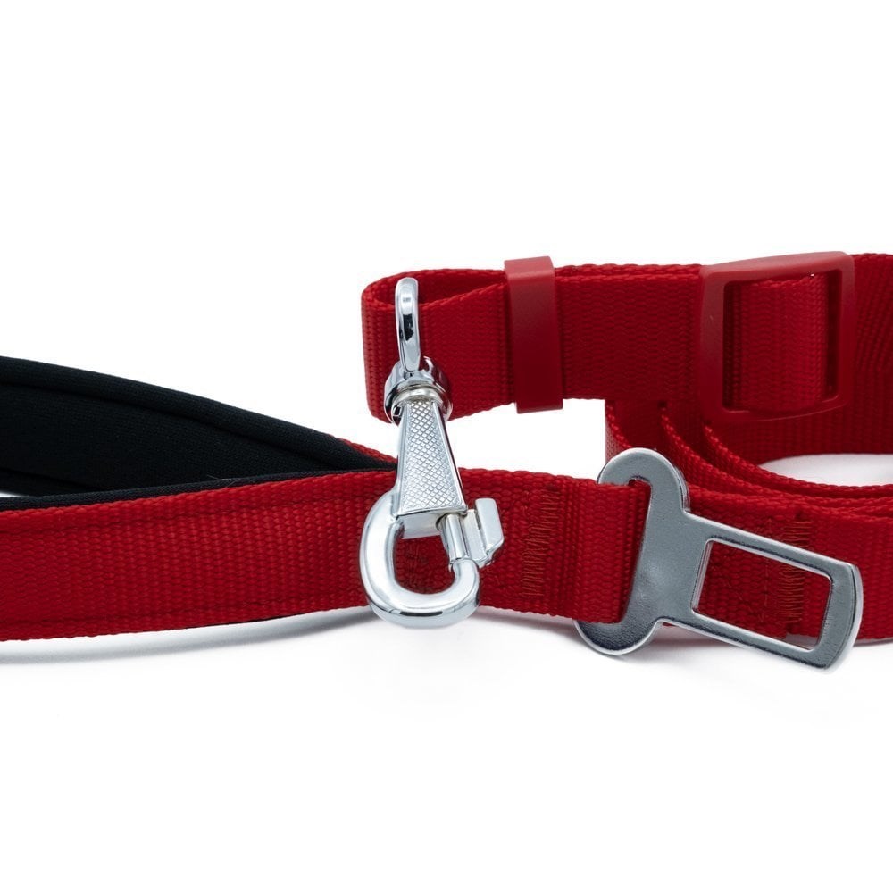 Doggie Emniyet Kemerli Gezdirme 2,5x80-120cm Kırmızı, KATEGORİSİZ, Doggie
