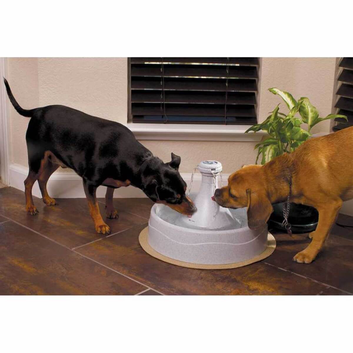 Drinkwell 360 Kedi Ve Köpek Su Pınarı 3.8 Lt