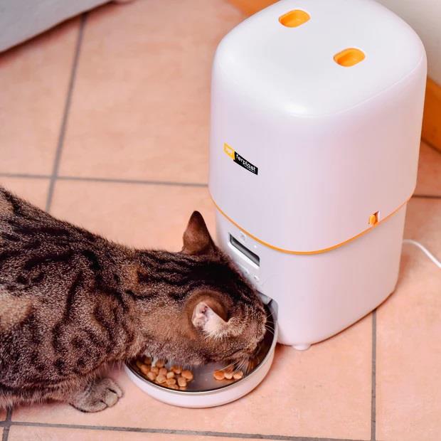 Ferplast Risto Pet Otomatik Mama Kabı 4 Litre, Otomatik Mama ve Su Kapları, Ferplast