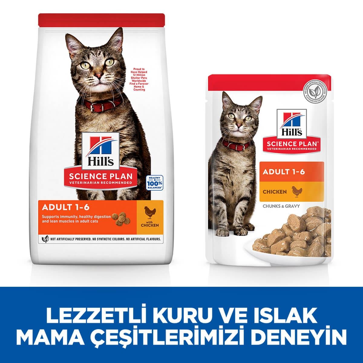 Hills Adult Chicken Tavuklu Yetişkin Kuru Kedi Maması 1.5 Kg, Yetişkin Kedi Maması, Hills