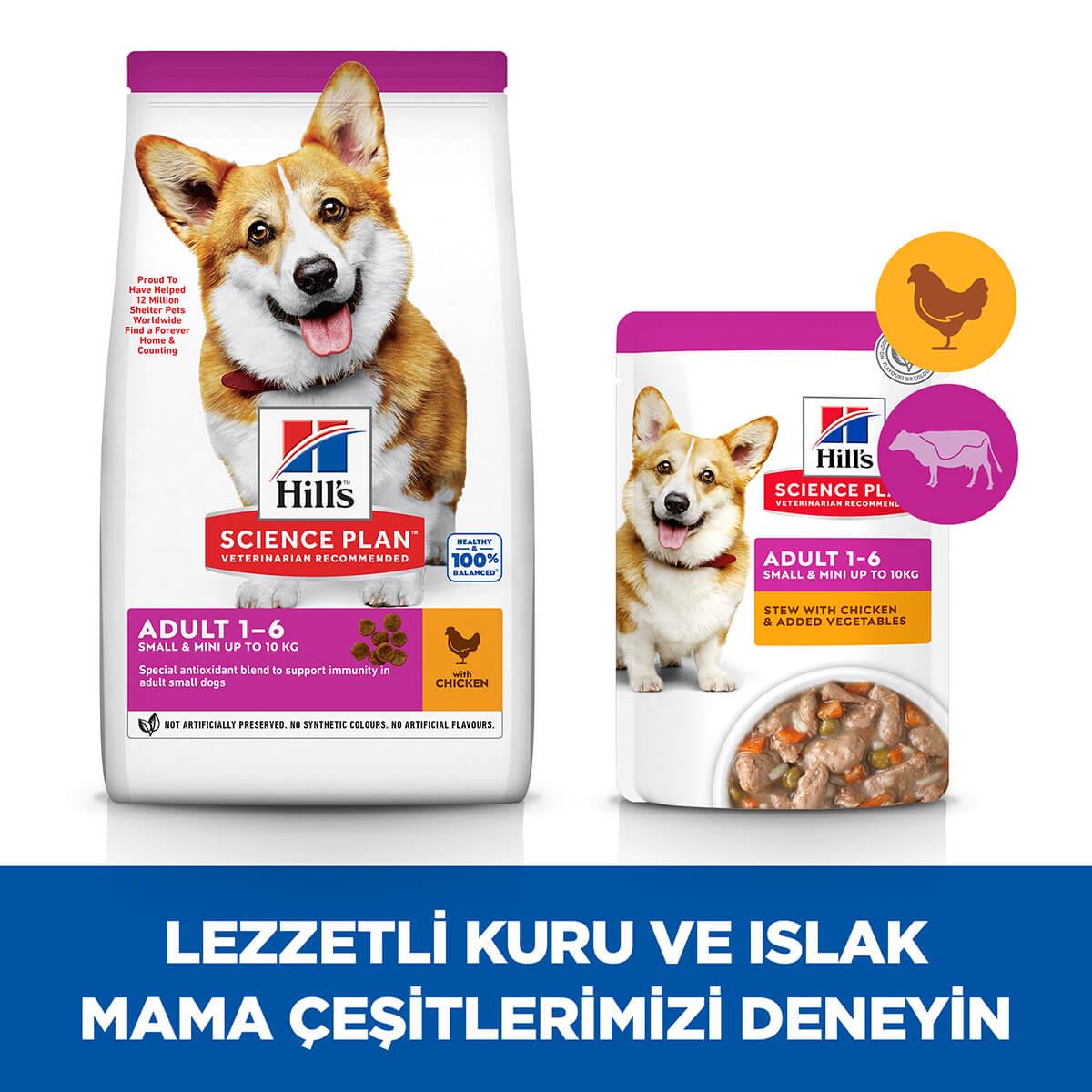 Hills Adult Small&Miniature Hindi-Tavuk Küçük Irk Köpek Maması 1,5 Kg, Yetişkin Köpek Maması, Hills
