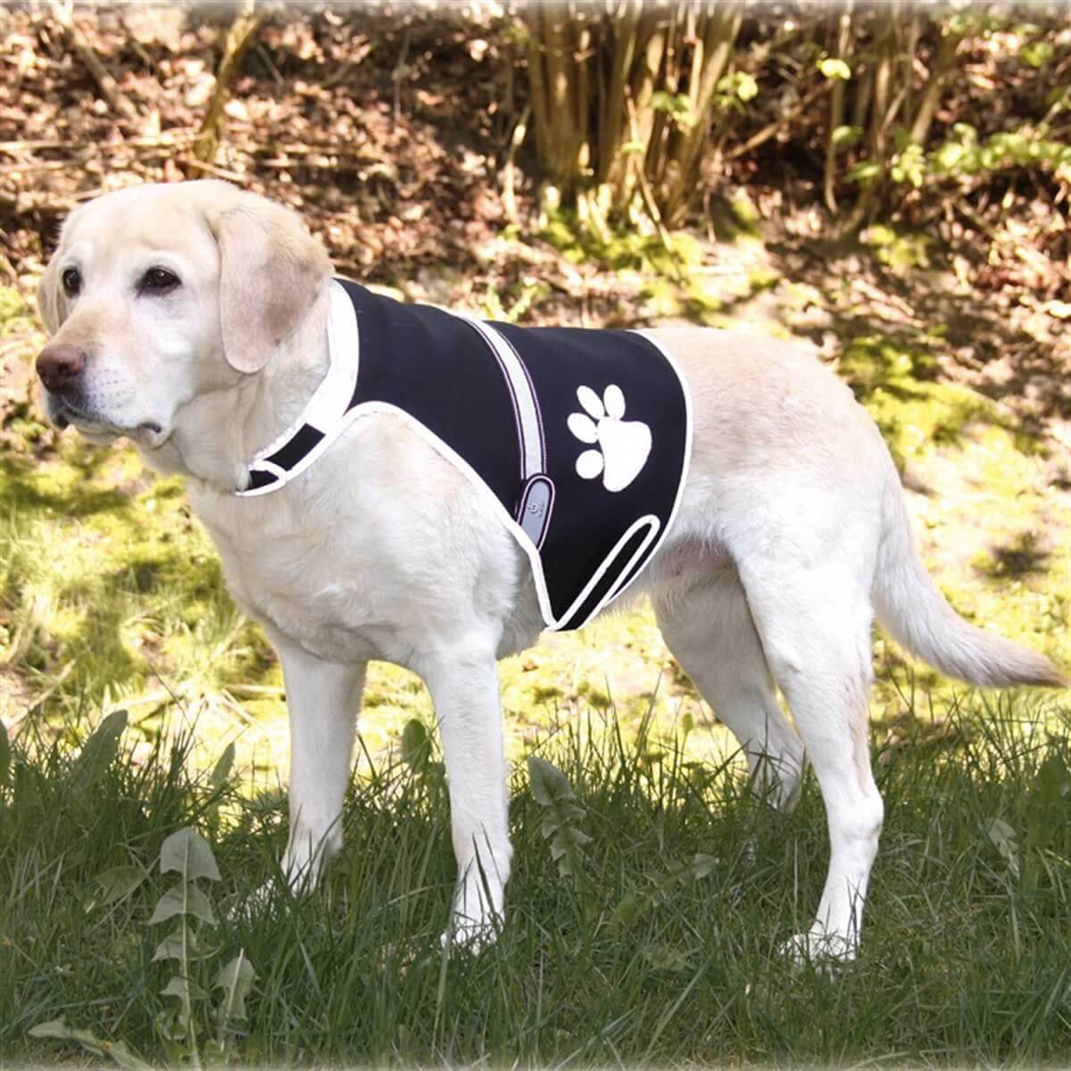 Işıklı Fosforlu Köpek Güvenlik Yeleği L,Siyah 60x80cm