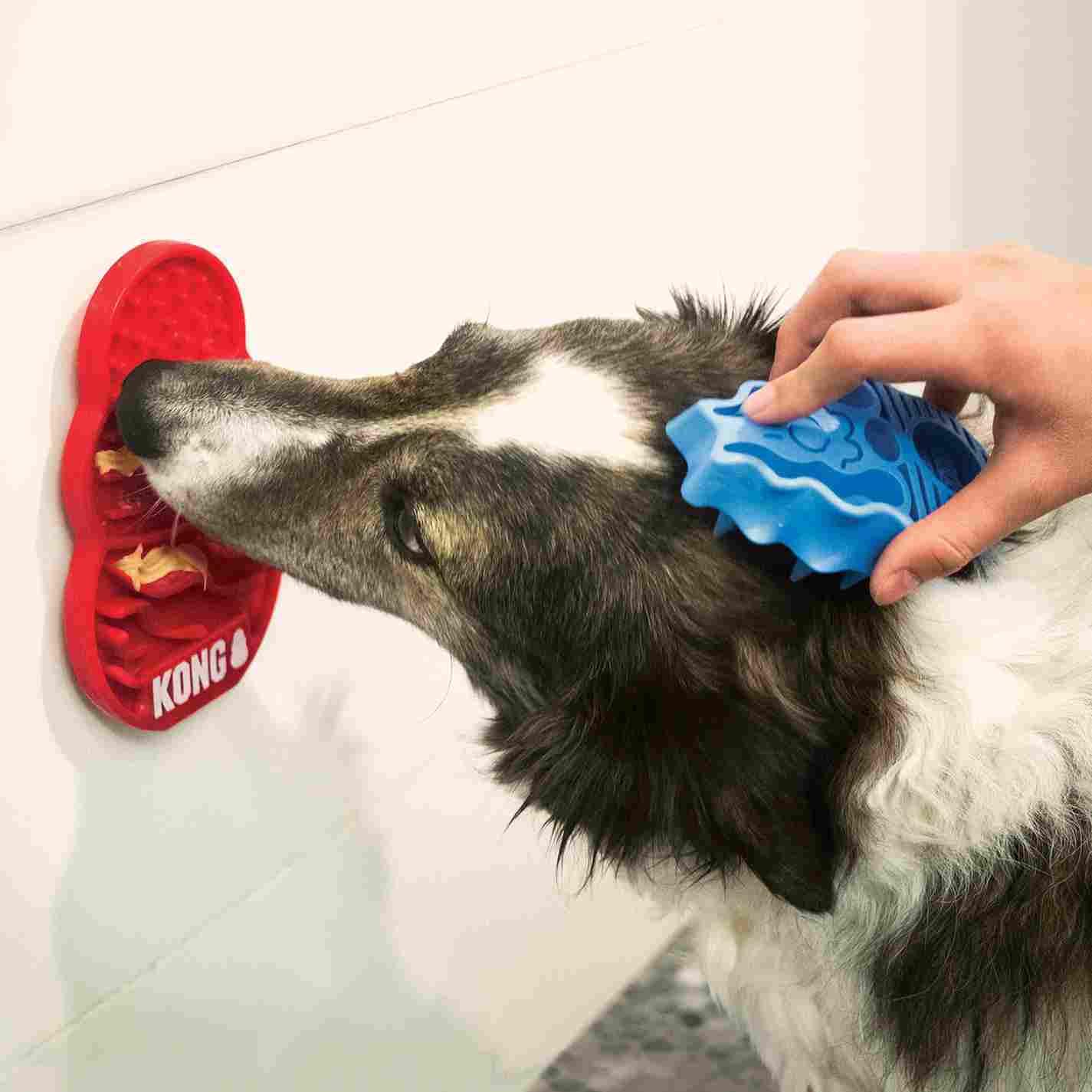 KONG Licks Köpekler için Sıvı Ödül Maması Oyuncağı Large, Kauçuk Plastik Oyuncaklar, Kong