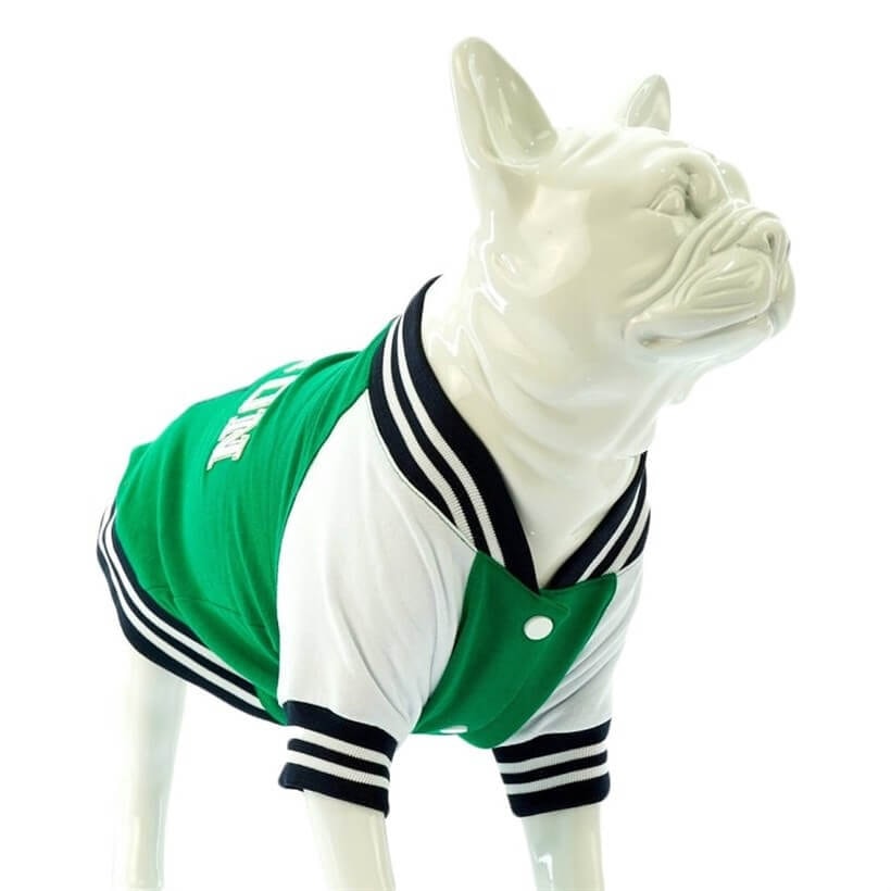 Lindo College BOSTON Köpek Sweatshirt Beden 7