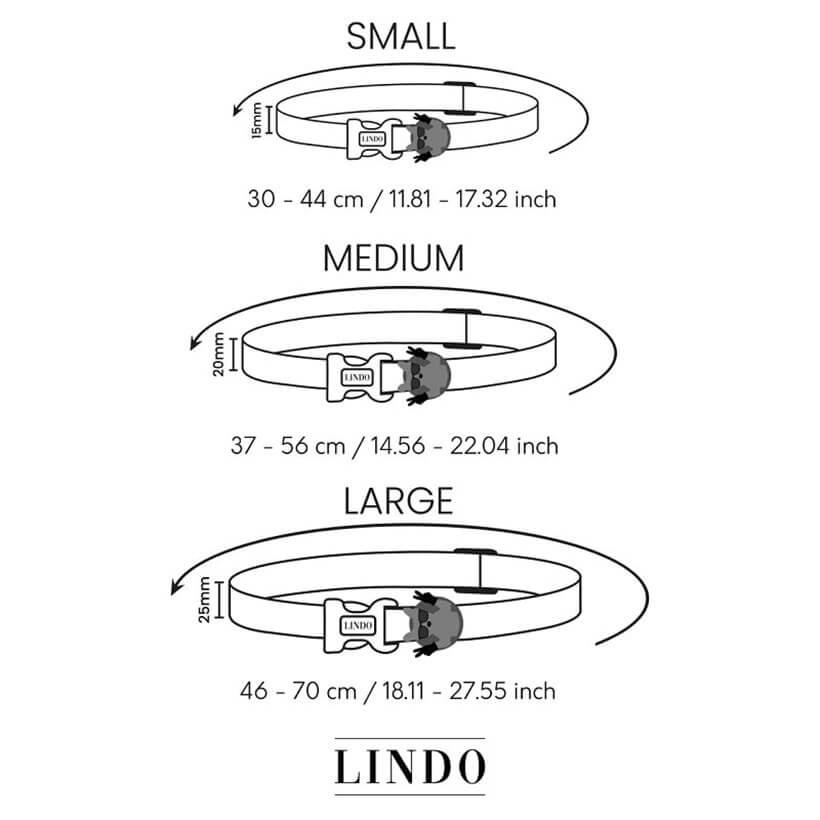 Lindo Ginger Man Köpek Boyun Tasması Small