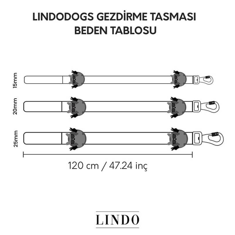 Lindo Ginger Man Köpek GezdirmeTasması Small