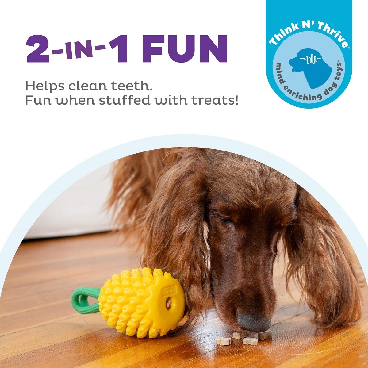 Nina Ottosson Dental Pineapple Köpek Çiğneme Oyuncağı - Ananas, Köpek Ödül ve Oyun Topu, Petstages
